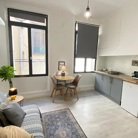 66d1 In The City Center Apartment Perpignan